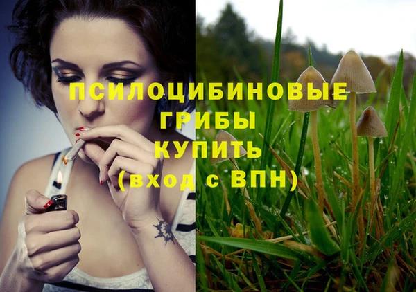 прущая мука Алзамай