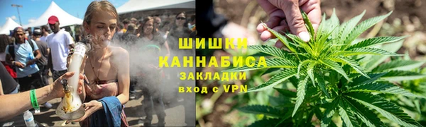 метадон Алексин