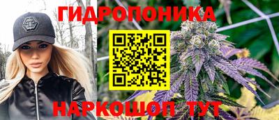 PSILOCYBIN Уссурийск