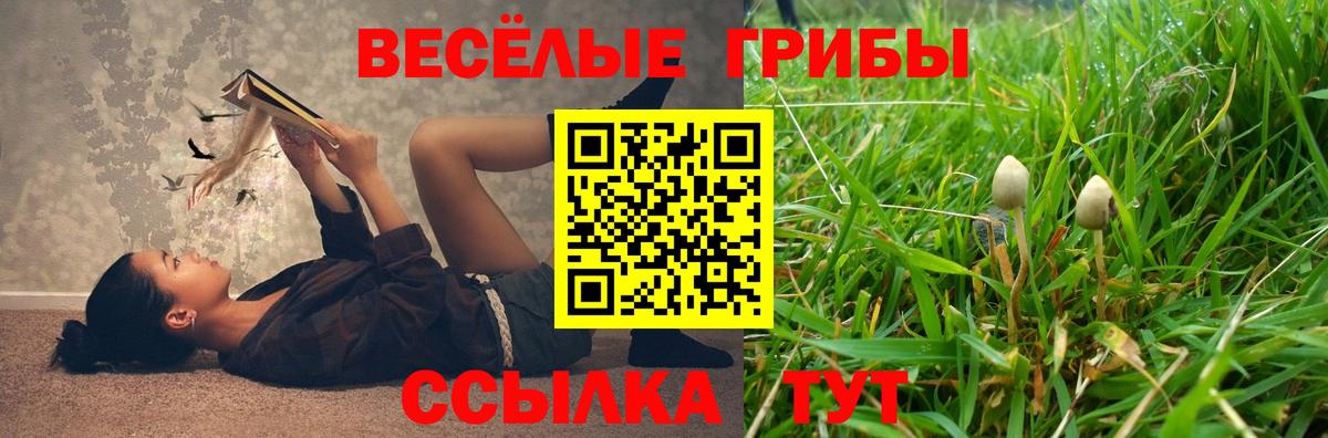 Псилоцибиновые грибы GOLDEN TEACHER  Вход с VPN  Лабинск 