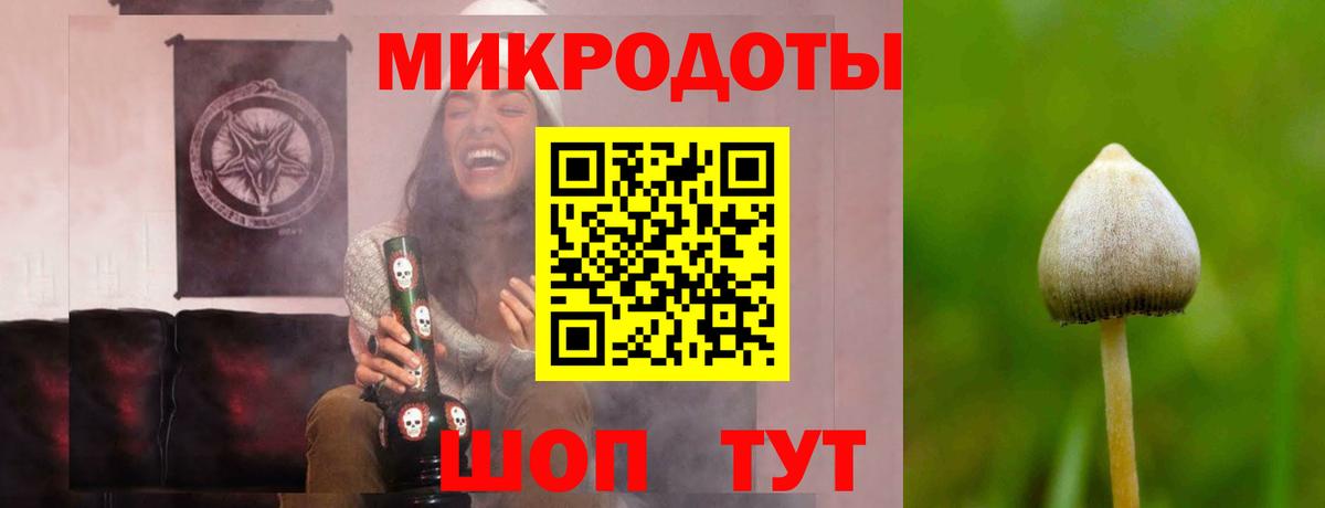Галлюциногенные грибы MAGIC MUSHROOMS Лабинск